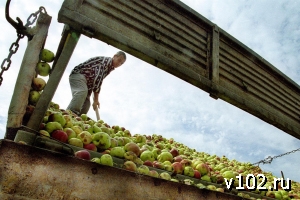 ������ 102.0